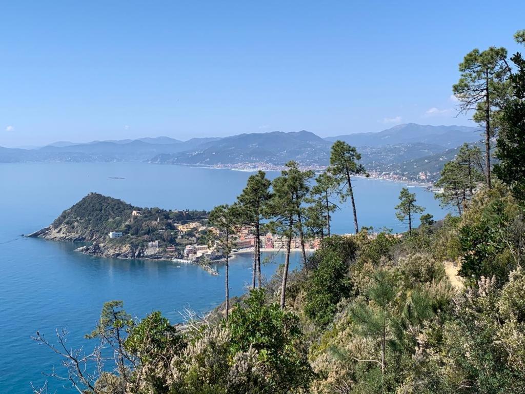 La Pergola Dei Paggi Βίλα Σέστρι Λεβάντε Εξωτερικό φωτογραφία