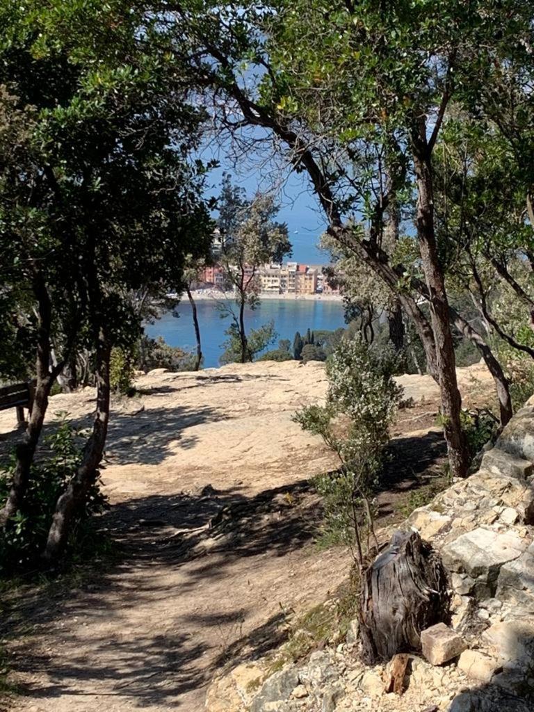 La Pergola Dei Paggi Βίλα Σέστρι Λεβάντε Εξωτερικό φωτογραφία