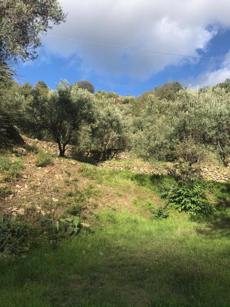 La Pergola Dei Paggi Βίλα Σέστρι Λεβάντε Εξωτερικό φωτογραφία
